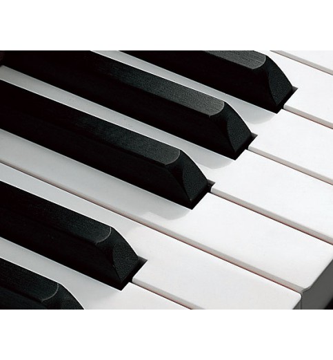 Yamaha YUS5 Yamaha YUS5